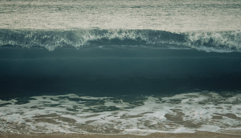 how tsunamis form with a large dark wave moving toward the shore