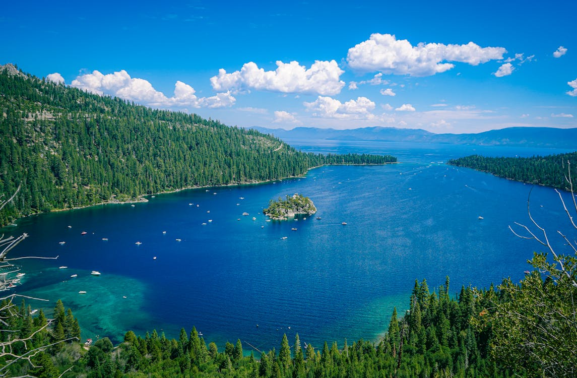 lakes that look like oceans with wide blue water, forested shoreline, and mountain views