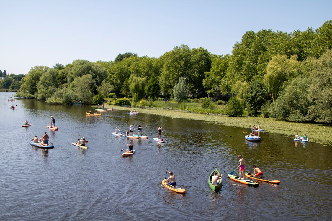 paddleboard vs kayak for beginners with people paddling on calm river water