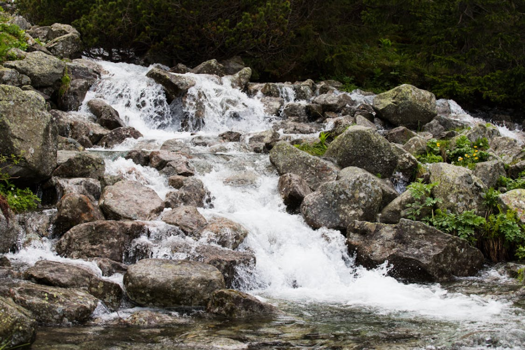 Relaxing water sounds shown through a rocky forest stream flowing gently over stones.
