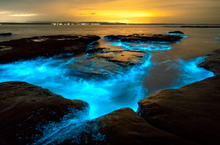 bioluminescent bays glowing at night with bright blue water around rocky shoreline