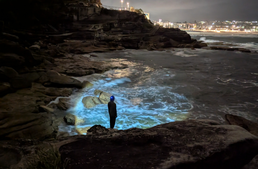 Why does water glow at night shown through blue bioluminescent water along a rocky coastline.