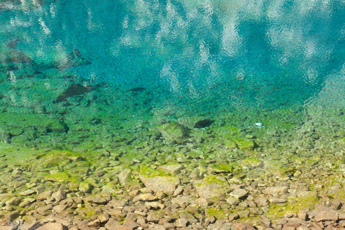 Why is water blue or green shown through clear blue-green water with visible rocks beneath the surface.