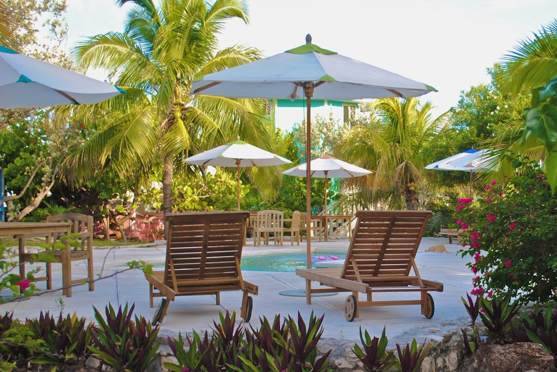 backyard oasis ideas on a budget with lounge chairs, umbrellas, tropical plants, and a small pool